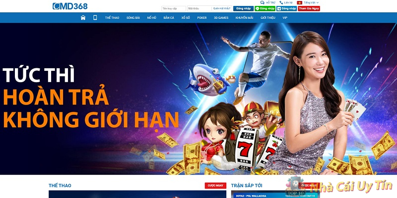 Giới thiệu chung về CMD368 Giới thiệu chung về CMD368