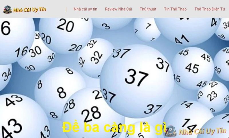 Đề ba càng là gì? Đề ba càng là gì?